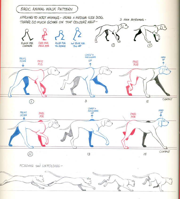 animators survival kit ebook download Ebook kit download survival animators
